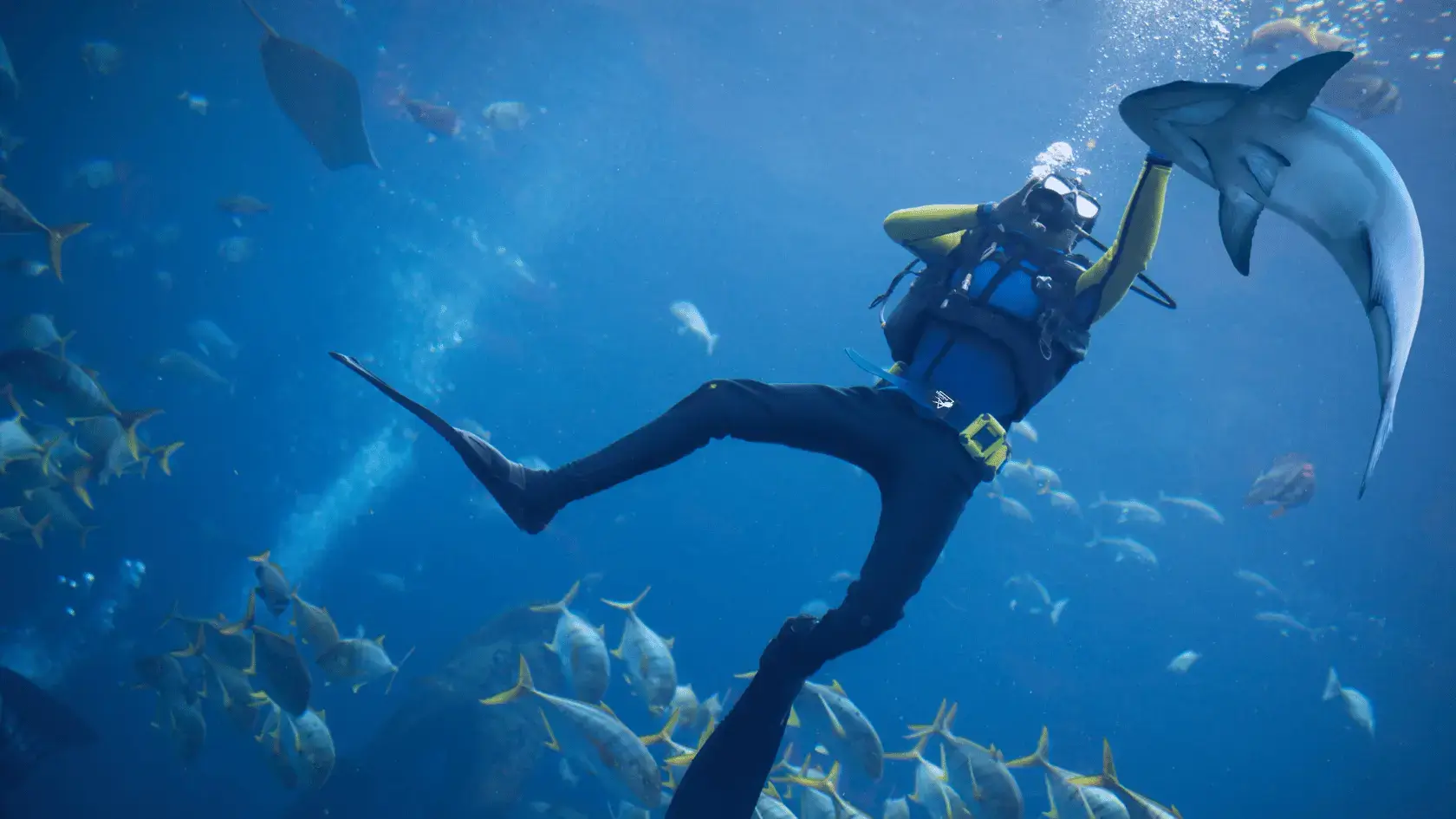 Diver cleaning coral reef